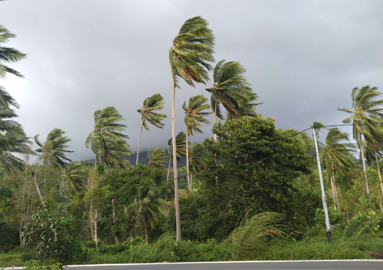 Suhu Bumi Meningkat, Waspada Bencana Kekeringan dan Angin Kencang